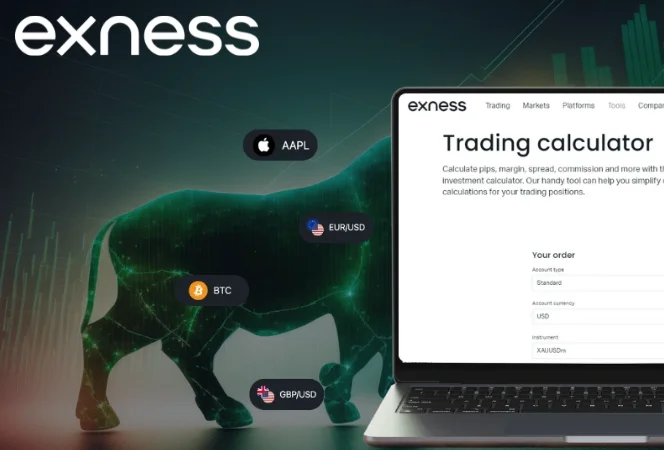 Exness Investment Calculator