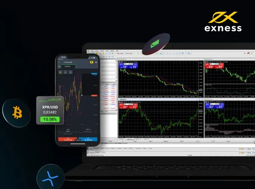 Làm cách nào để đưa máy chủ vào Exness Metatrader?