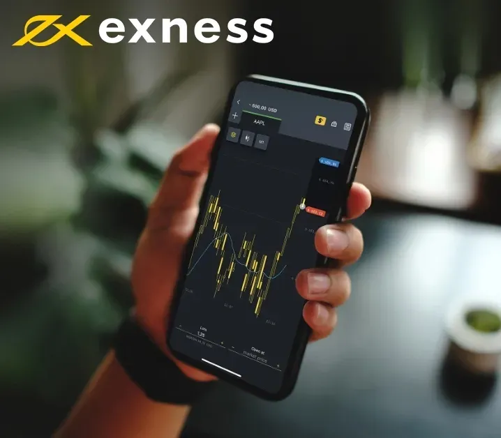 Examination of Exness's Regulatory Status
